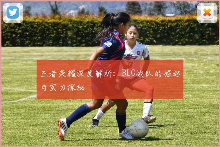 王者荣耀深度解析：BLG战队的崛起与实力探秘