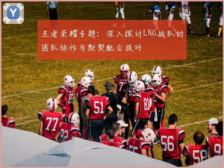 王者荣耀专题：深入探讨LNG战队的团队协作与默契配合技巧