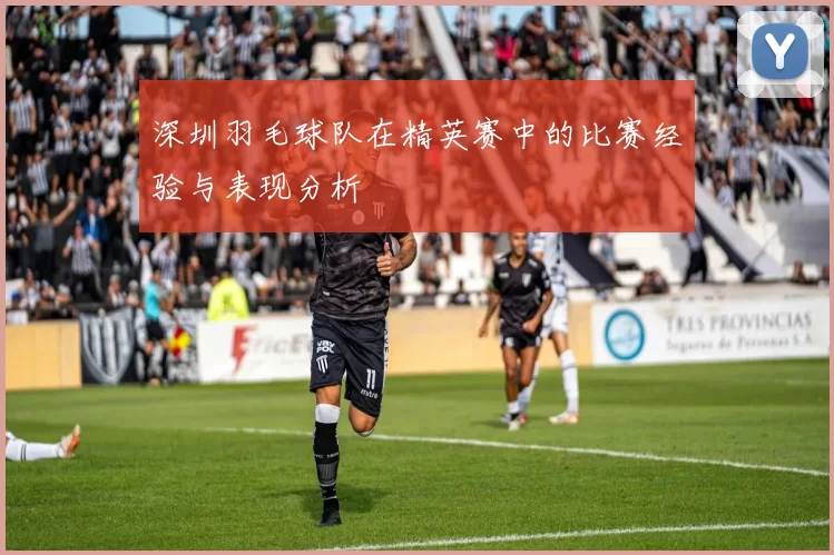 深圳羽毛球队在精英赛中的比赛经验与表现分析