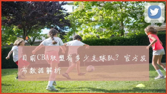 目前CBA联盟有多少支球队？官方发布数据解析
