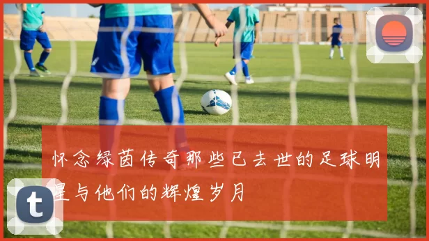 怀念绿茵传奇那些已去世的足球明星与他们的辉煌岁月