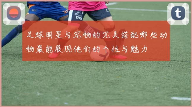 足球明星与宠物的完美搭配哪些动物最能展现他们的个性与魅力
